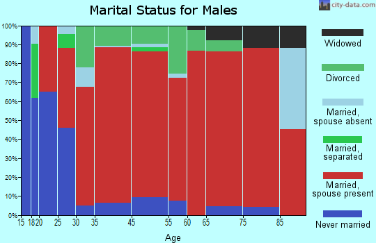 Lower Valley-Somers marital status for males