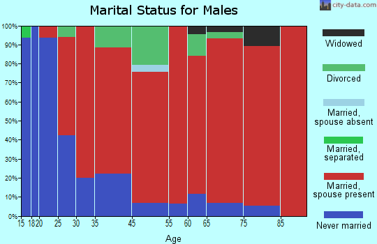 Madison Valley marital status for males