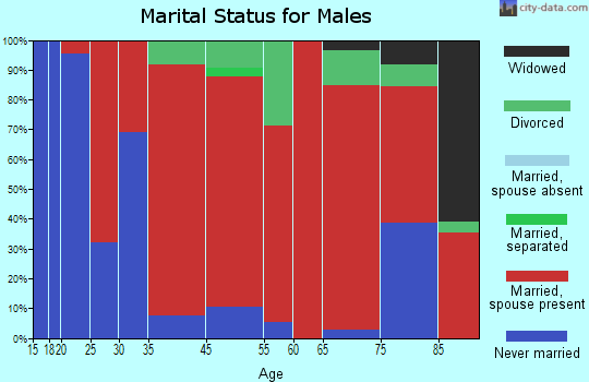 Seeley Lake-Blackfoot Valley marital status for males