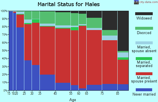 Shirley-Ismay marital status for males