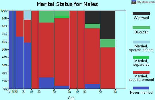 South of the Yellowstone marital status for males