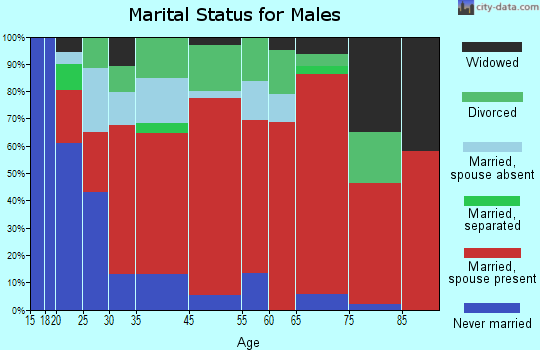 Sun River Valley marital status for males