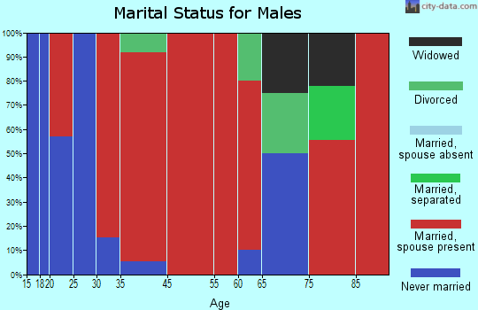 Thompson Falls-West End marital status for males