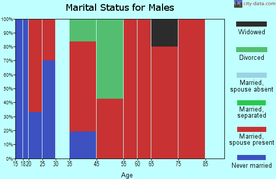 Johnstown precinct marital status for males