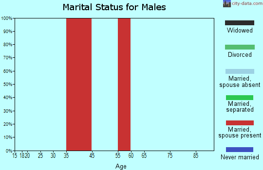 Alamo marital status for males