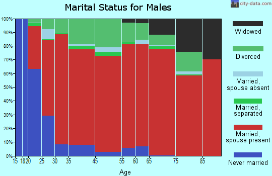 Austin marital status for males