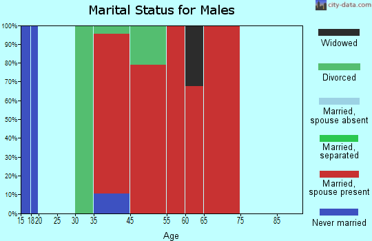 Beowawe marital status for males