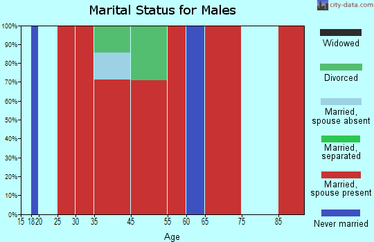Goldfield marital status for males