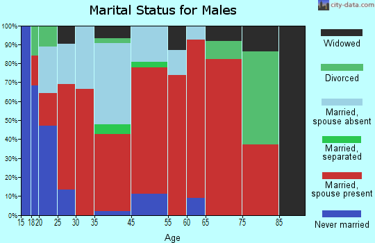 Incline Village marital status for males