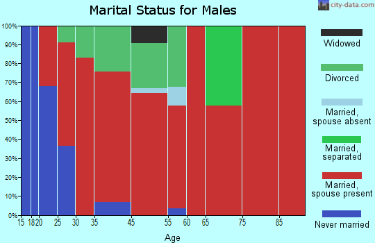 Pioche marital status for males