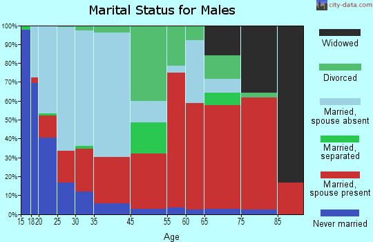 Round Mountain marital status for males