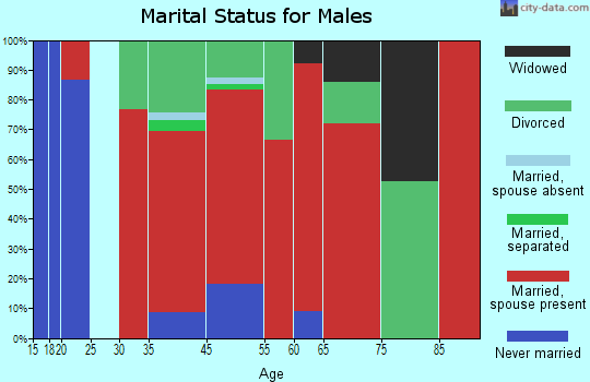 Silverpeak marital status for males