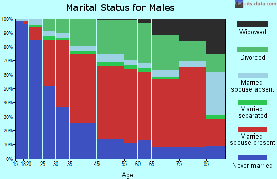Summit Lake marital status for males