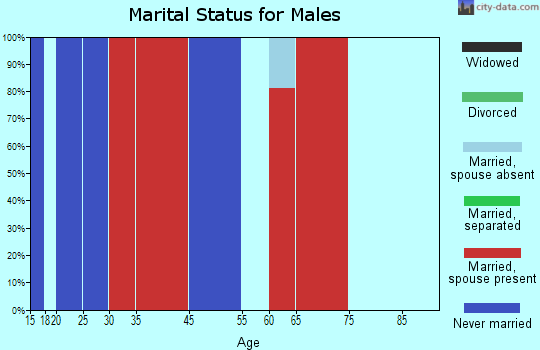 Warm Springs-Truckee Canyon marital status for males