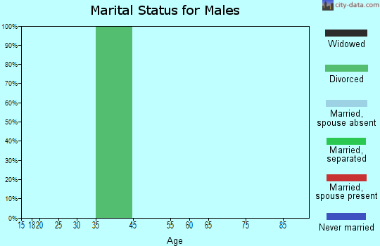 Washoe Valley marital status for males