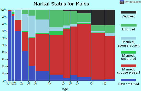 Zephyr Cove marital status for males