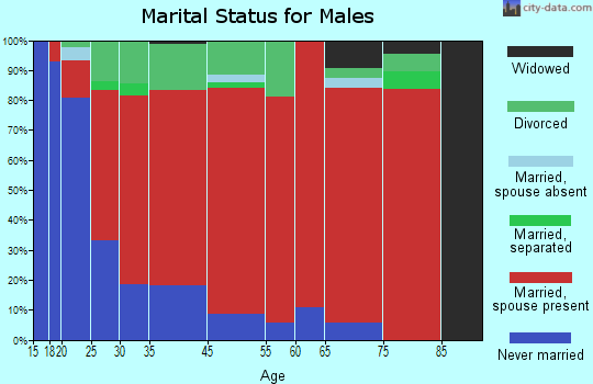 Albany marital status for males