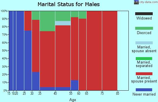 Chester marital status for males