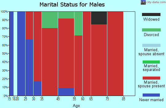 Clarksville marital status for males