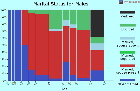 Effingham marital status for males