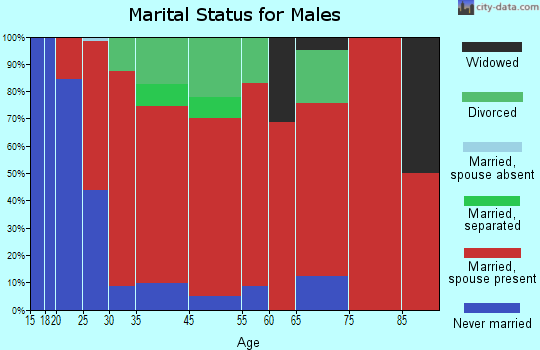 Lincoln marital status for males