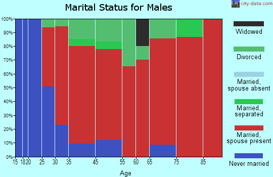 Loudon marital status for males