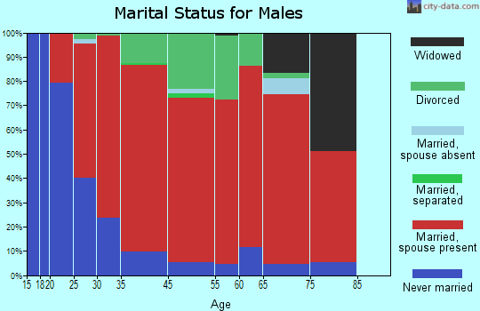 Mason marital status for males