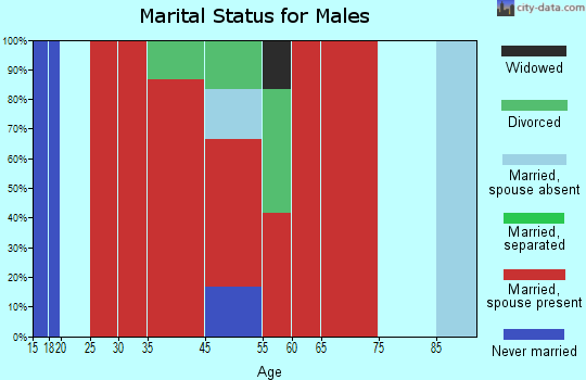 New Boston marital status for males