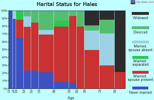 New Castle marital status for males