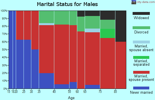 New Ipswich marital status for males