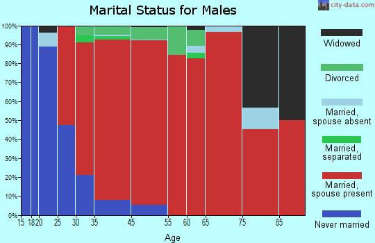 Swanzey marital status for males