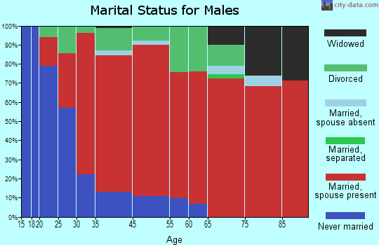Logan-Nara Visa marital status for males