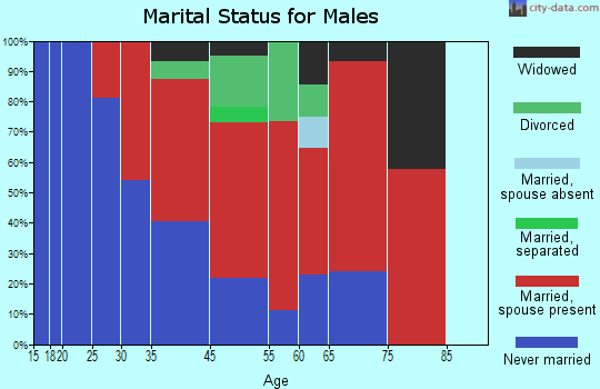Mimbres marital status for males