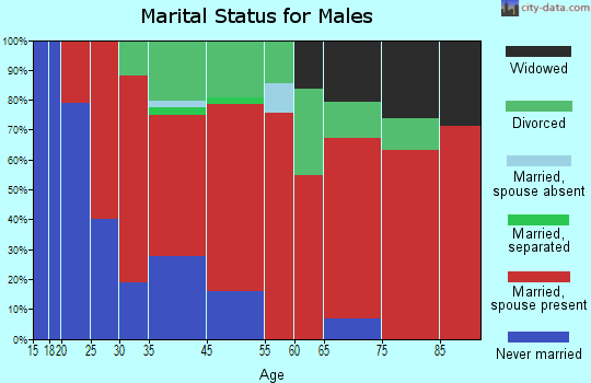 North Hidalgo marital status for males