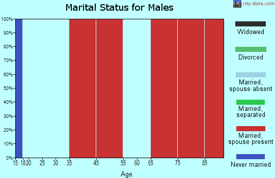 Pinos Altos marital status for males