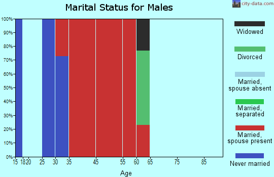 Southwest Chaves marital status for males