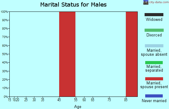 Western Rio Arriba marital status for males