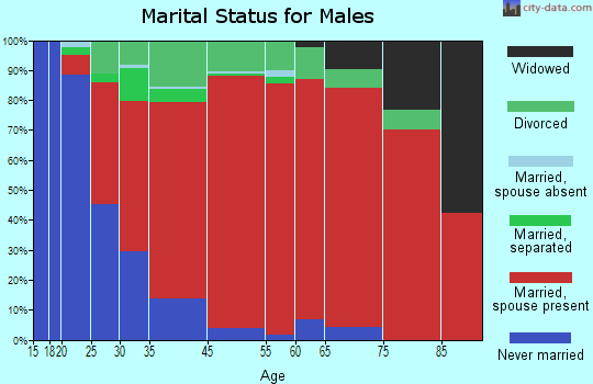 Austerlitz marital status for males