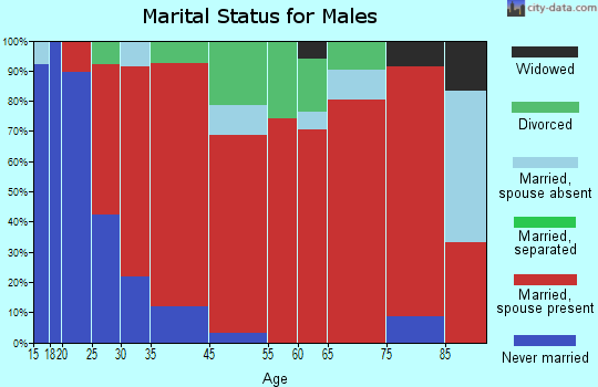 Birdsall marital status for males