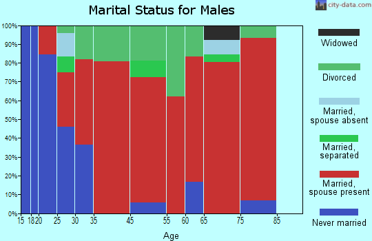 Black Brook marital status for males
