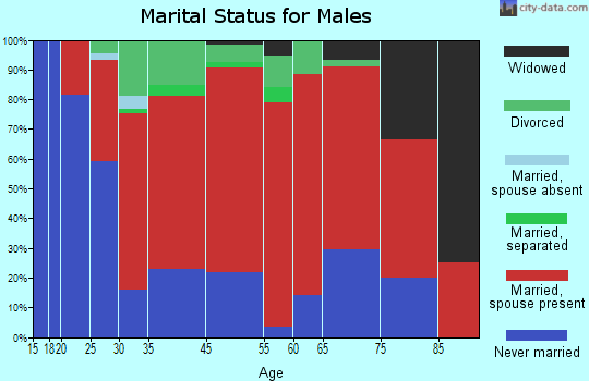 Blenheim marital status for males
