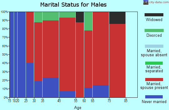 Bombay marital status for males
