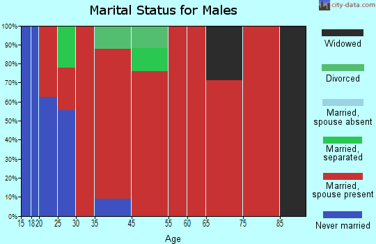 Brandon marital status for males