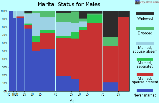 Bronx marital status for males