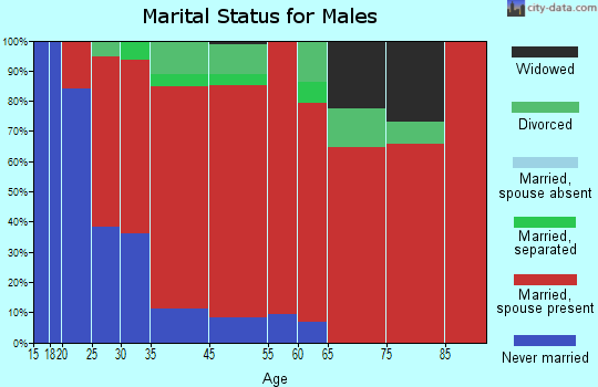 Brooklyn marital status for males