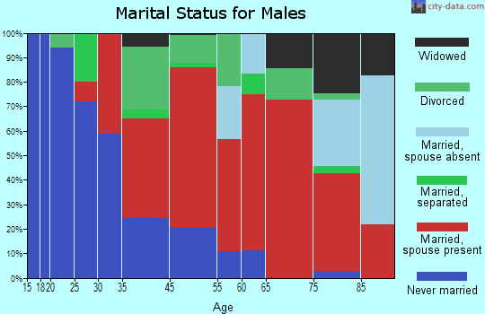 Cameron marital status for males