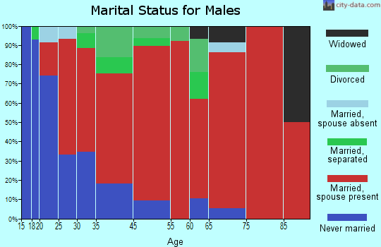 Chautauqua marital status for males