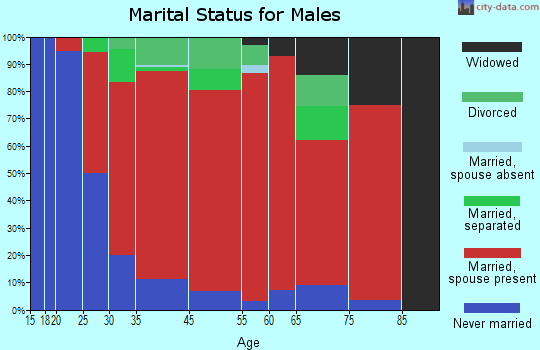 Chemung marital status for males