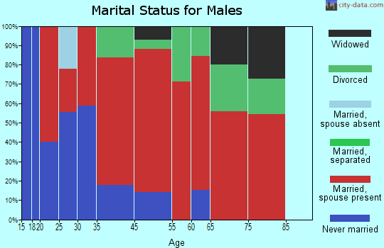 Chester marital status for males