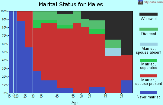 Clarkstown marital status for males